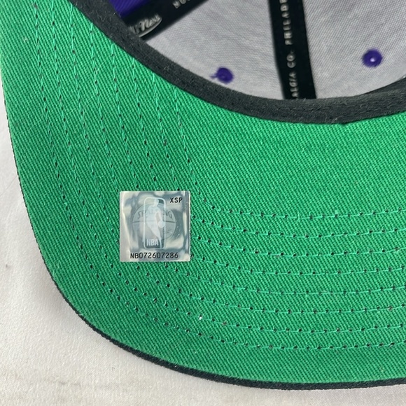 Mitchell & Ness Raptors Purple Fabric NBA Hardwood Classics Cap - Picture 6 of 8